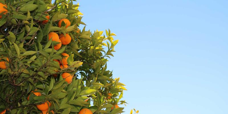 5G驱动企业数字化转型：全栈、后端与前端开发的机遇与挑战