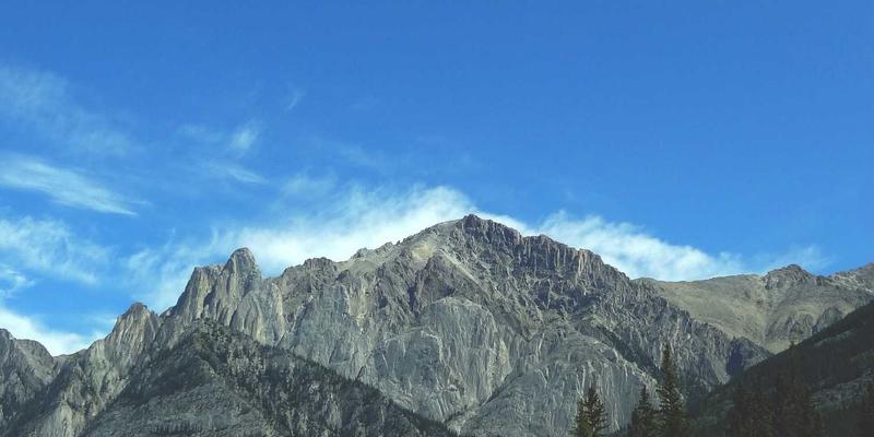 SD-WAN实战指南：如何用编程思维优化跨国企业分支互联的后端架构