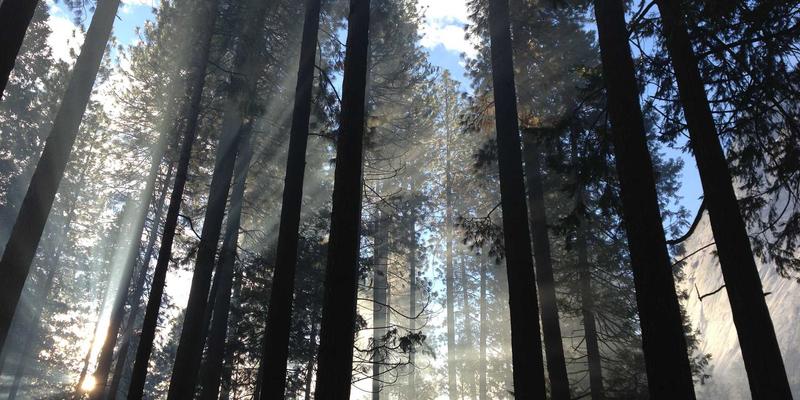 从编程到全栈：掌握现代软件开发的核心技巧与进阶路径