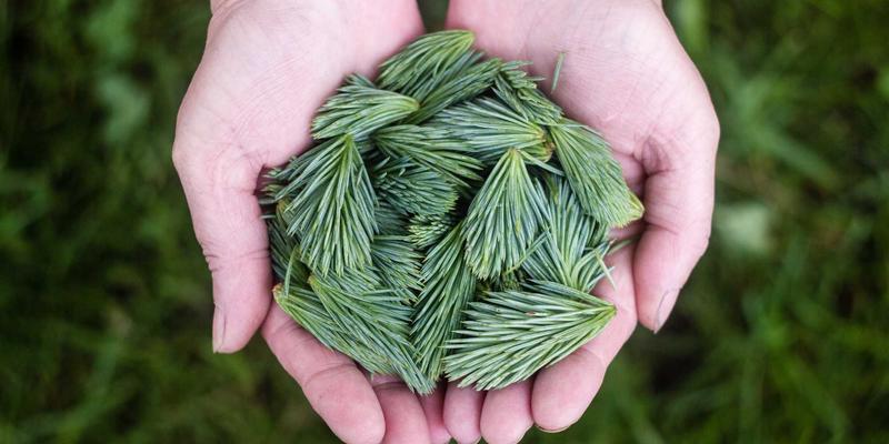 全栈与后端开发必读：AWS、Azure、GCP多云高速专线互联方案与成本优化实战