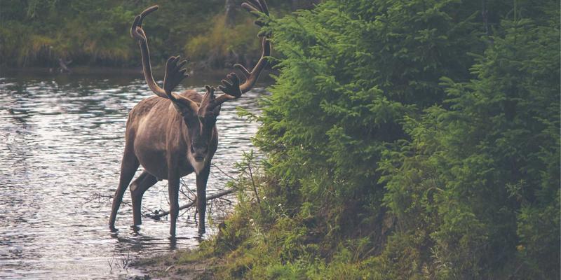 全栈开发与前端开发：技术博客视角下的网络技术优势解析