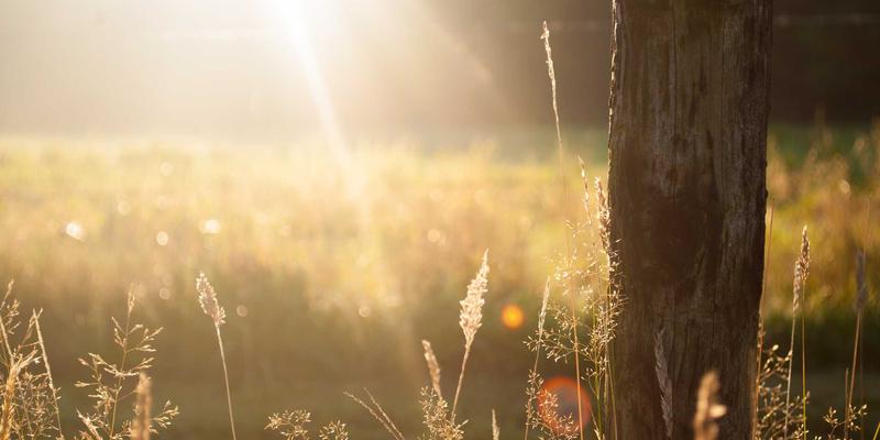 全栈开发：从编程基础到技术博客的完整成长路径