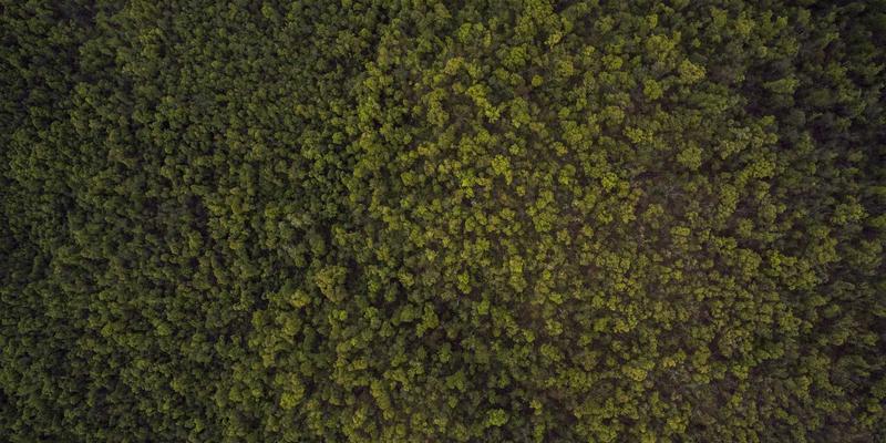 全栈视角下的零接触部署（ZTP）实践：如何自动化企业大规模网络设备初始化