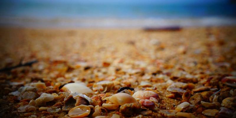 前端开发与软件工程中的网络性能监控技术：保障业务连续性的关键工具