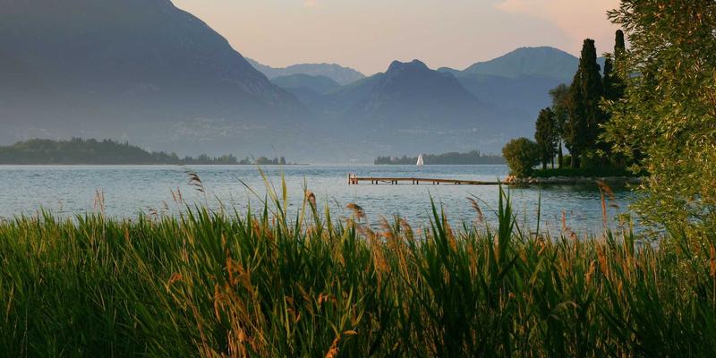 技术博客 | 从前端视角剖析网络功能虚拟化（NFV）的性能瓶颈与实战解决方案