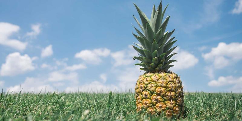 技术博客全攻略：全栈与前端开发的最佳实践解析