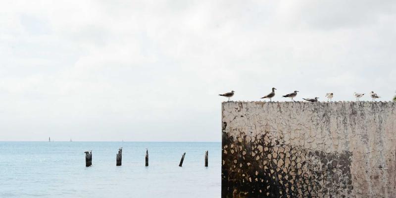 编程、软件开发与前端开发：现代网络技术的三位一体