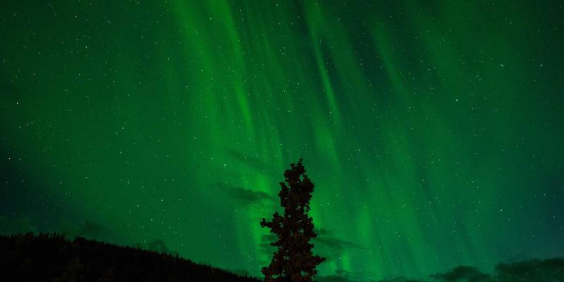 网络技术34：前端、后端与全栈开发全景解析