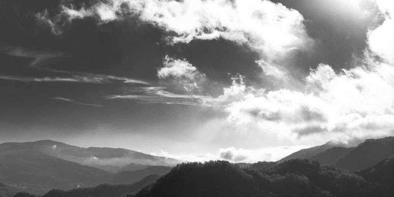 网络技术49：前端开发如何重塑现代编程与网络交互体验