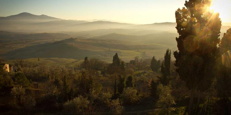 网络技术实战指南：从软件开发到后端架构的核心应用
