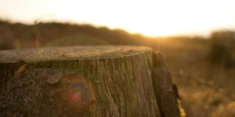 网络数据包代理（NPB）如何重塑云环境下的可视性与安全防线：网络技术与全栈开发的融合实践